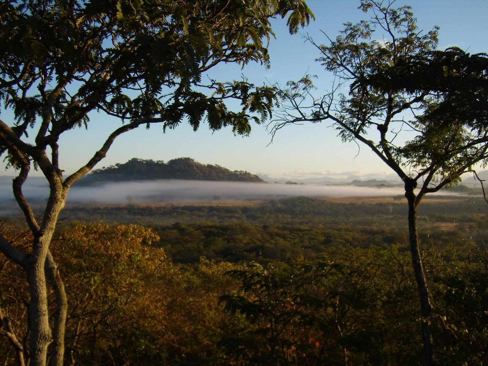 Musangano Lodge Odzi Luaran gambar