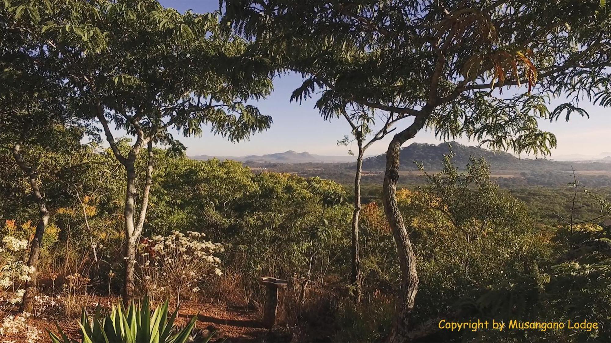 Musangano Lodge Odzi Luaran gambar