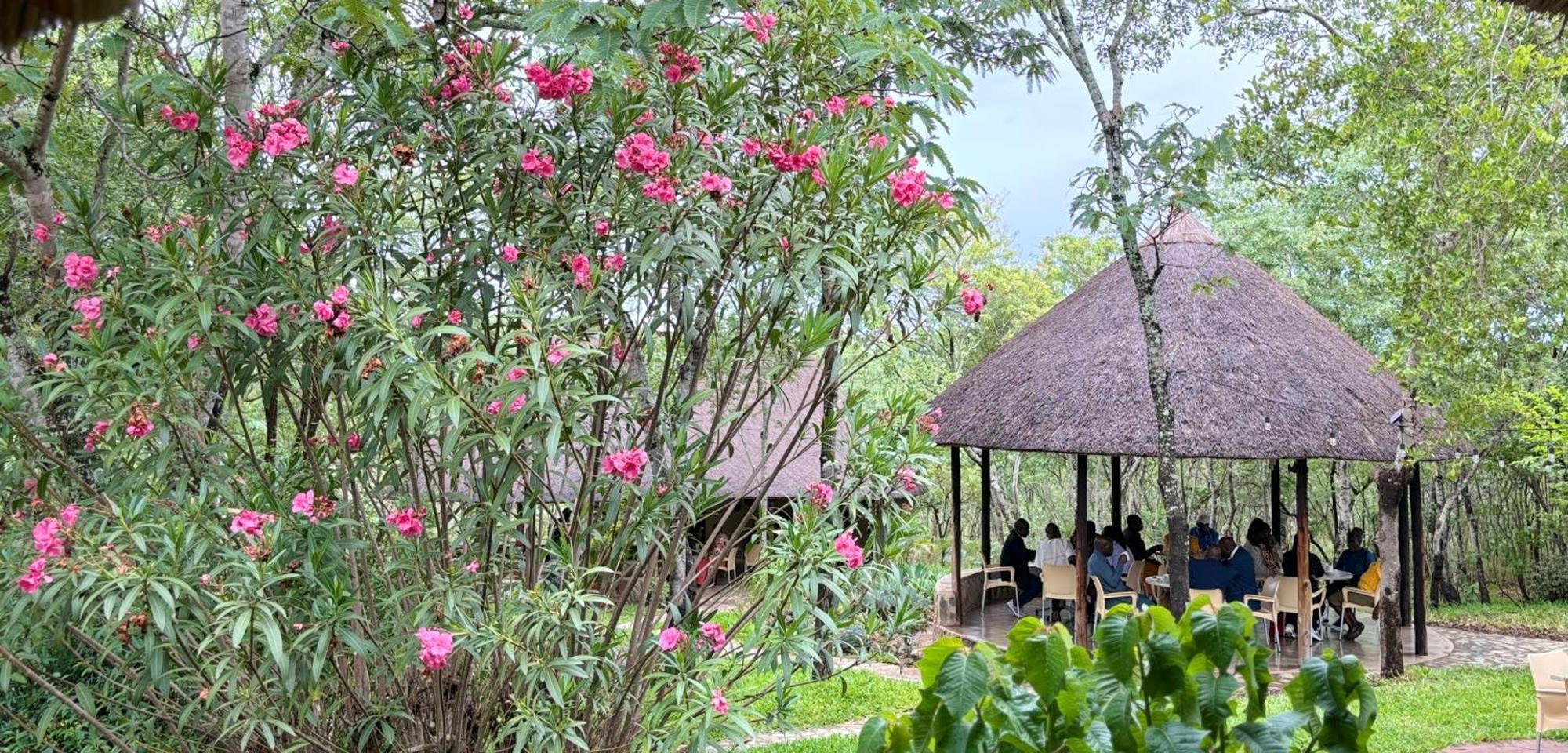 Musangano Lodge Odzi Luaran gambar