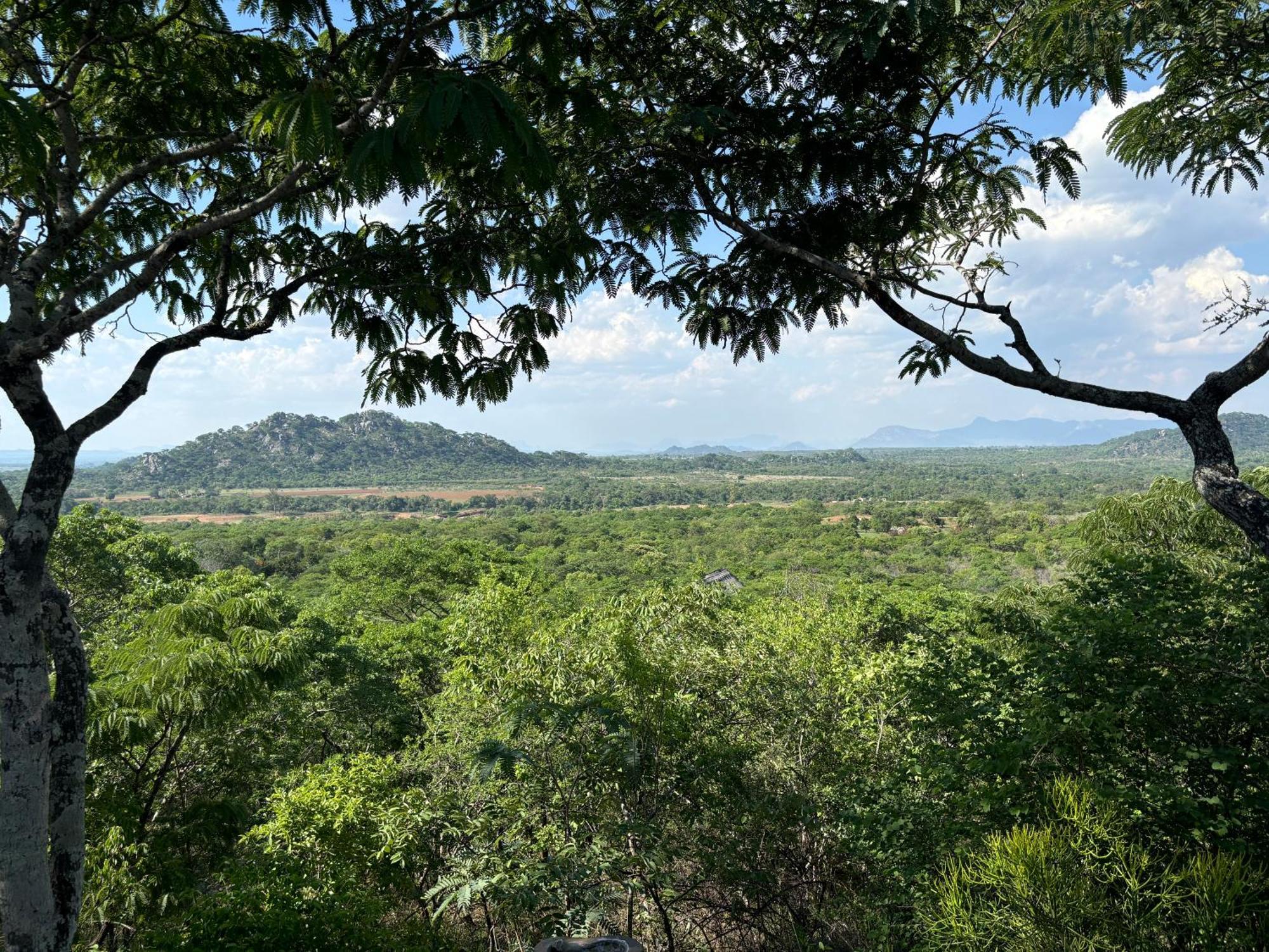 Musangano Lodge Odzi Luaran gambar